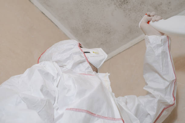 Best Mold Damage Repair  in Kodi Station, AK