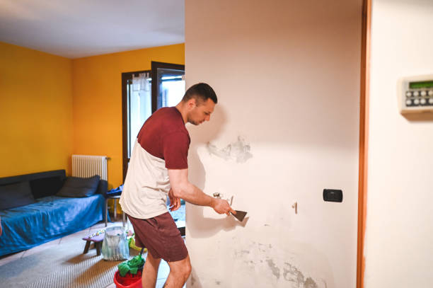 Best Attic Mold Removal  in Kodi Station, AK